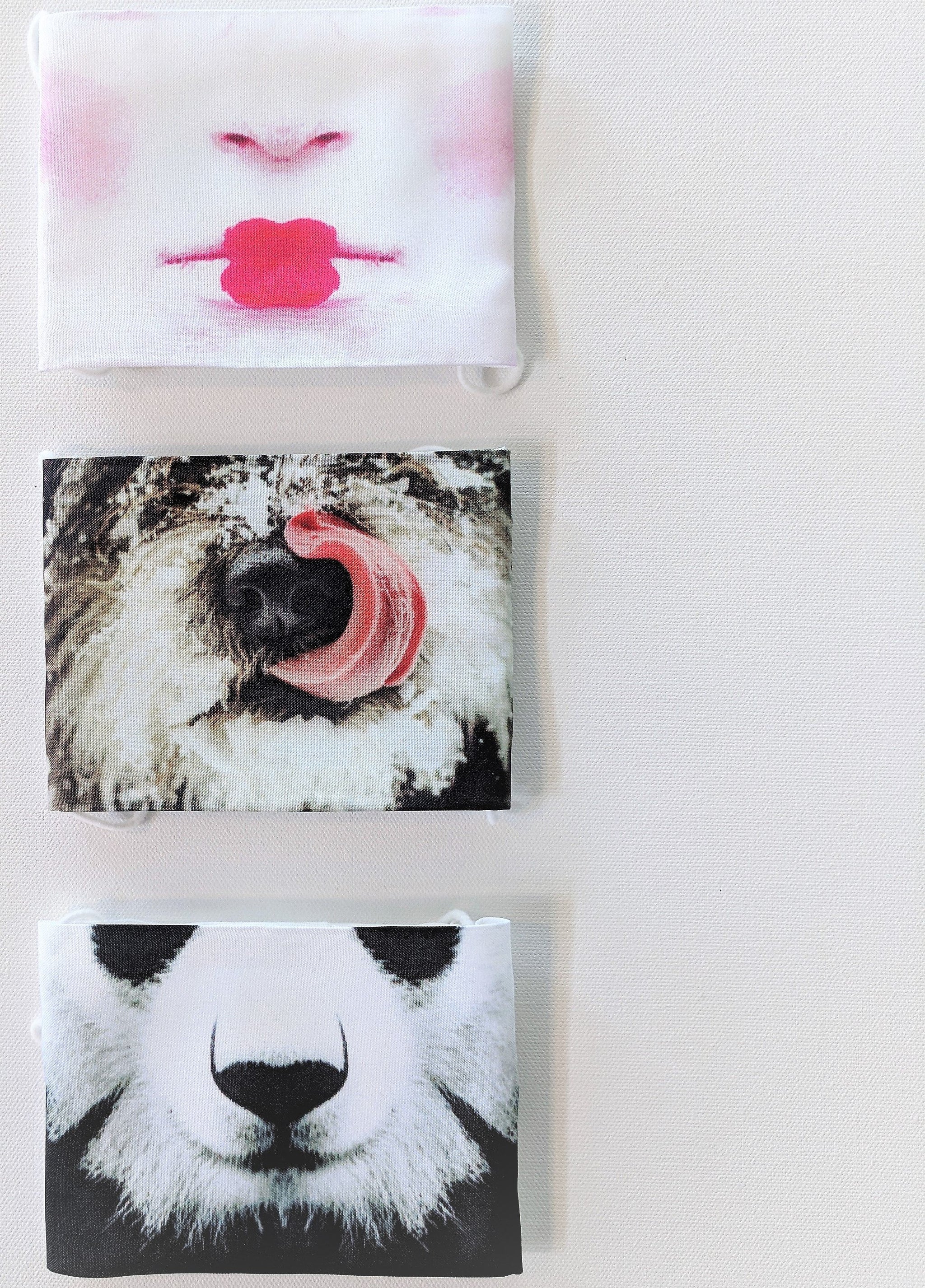 Japanese Face Masks